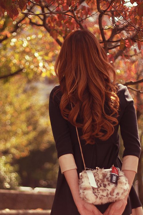 じっくりと紅葉を眺めている女の子の画像｜おしゃれなフリー写真素材：GIRLY DROP