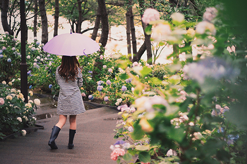 フリー写真画像『咲き乱れた紫陽花（あじさい）の中を歩いて行く女の子』[ID:356]
