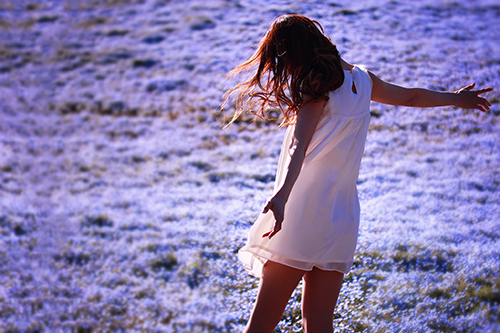 フリー写真画像『ネモフィラの花畑で全身に春の風を浴びている女の子』[ID:2971]