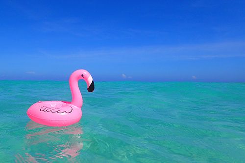 フリー写真画像『ため息が出るほど美しい海にピンクが映えるフラミンゴのドリンクホルダー』[ID:3753]