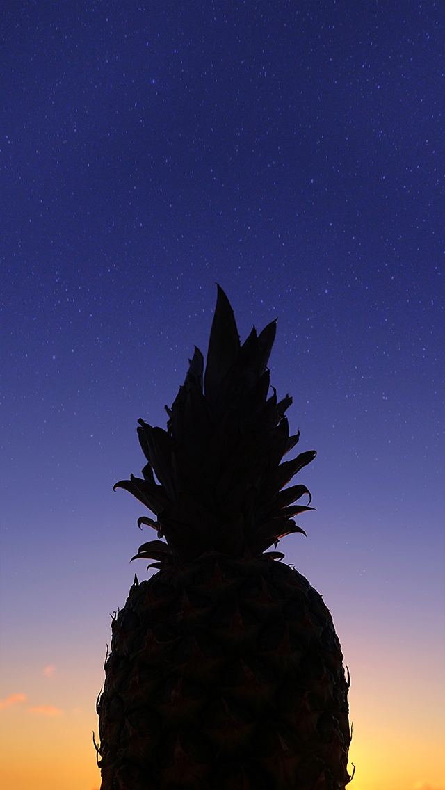 オシャレなiphone壁紙 美しい夏の夕焼けを背にそびえ立つパイナップル先輩のシルエットのiphone スマホ 壁紙 おしゃれなフリー写真素材 Girly Drop