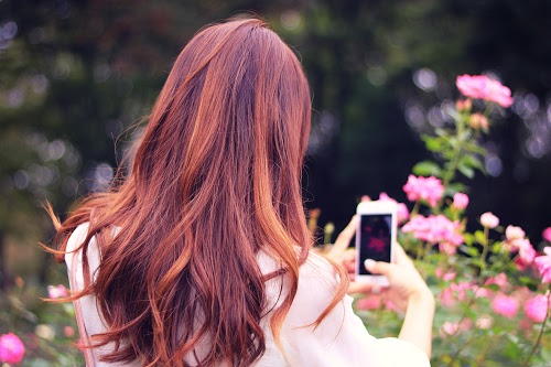 フリー写真画像『スマートフォンのカメラで花を撮影している女の子』[ID:4239]