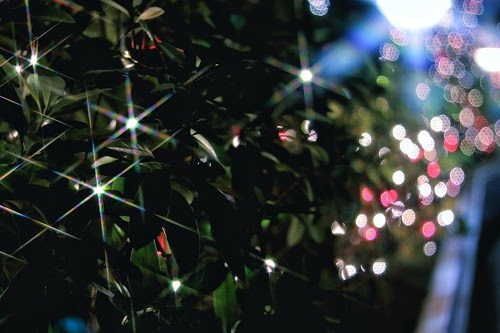 『クリスマスツリー』のフリー写真画像[ID:7478]
