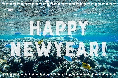 フリー写真画像『【年賀状画像】海好きな人へのあけおめ画像：『HAPPY NEW YEAR』その1』[ID:7657]