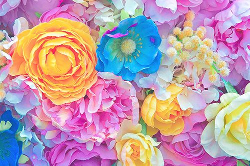 彩度高めのカラフルなお花のテクスチャのフリー画像 おしゃれなフリー写真素材 Girly Drop