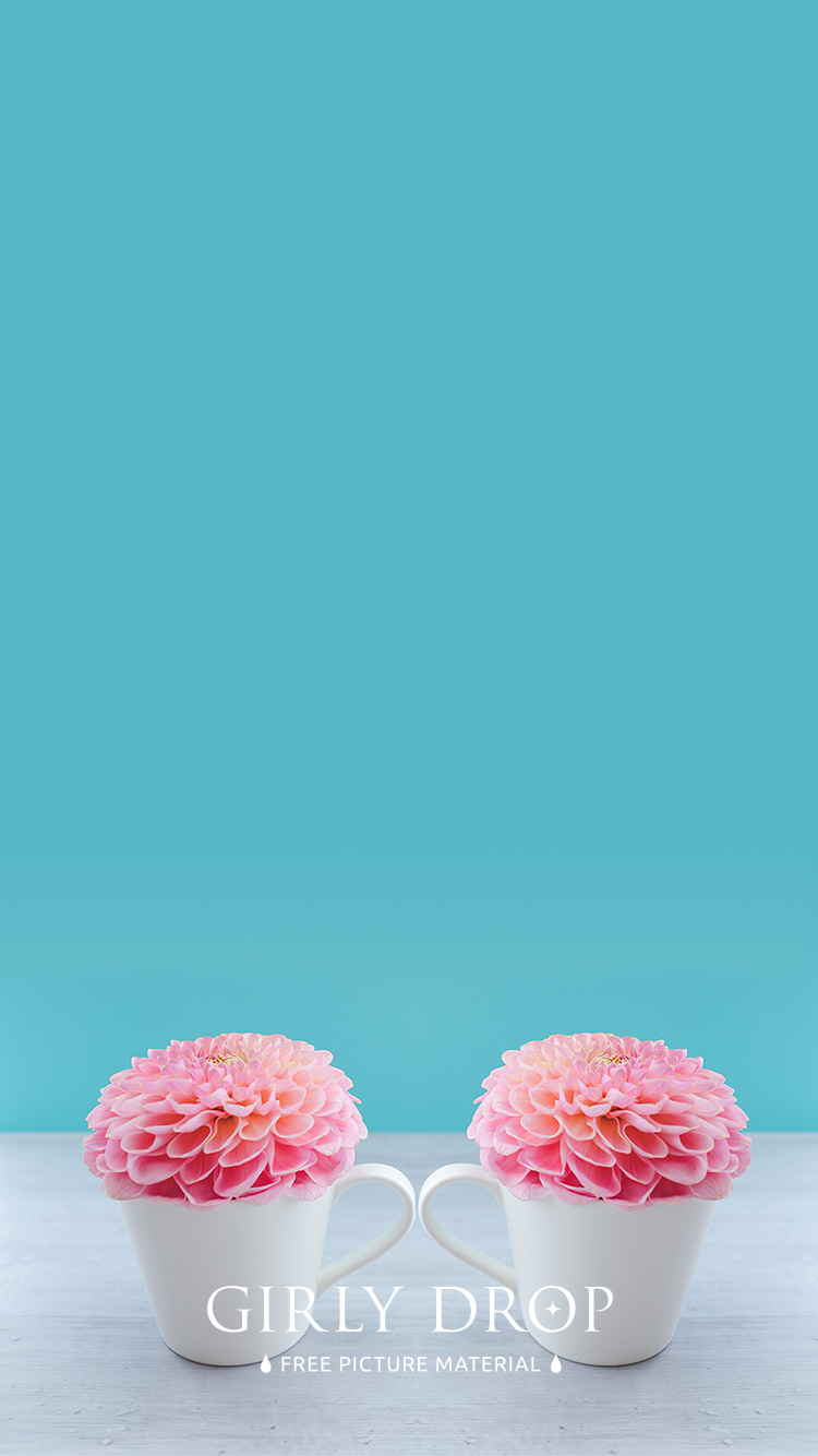 フリー写真画像『【おしゃれなiPhone壁紙】2つのマグカップに活けられたダリアの花』[ID:11521]