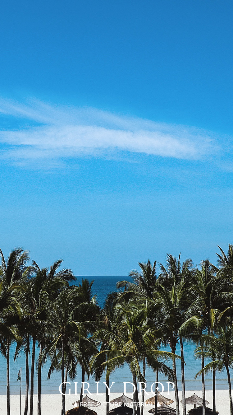 フリー写真画像『【おしゃれなiPhone壁紙】ヤシの木→白い砂浜→ブルーオーシャン→青い空！！』[ID:11672]