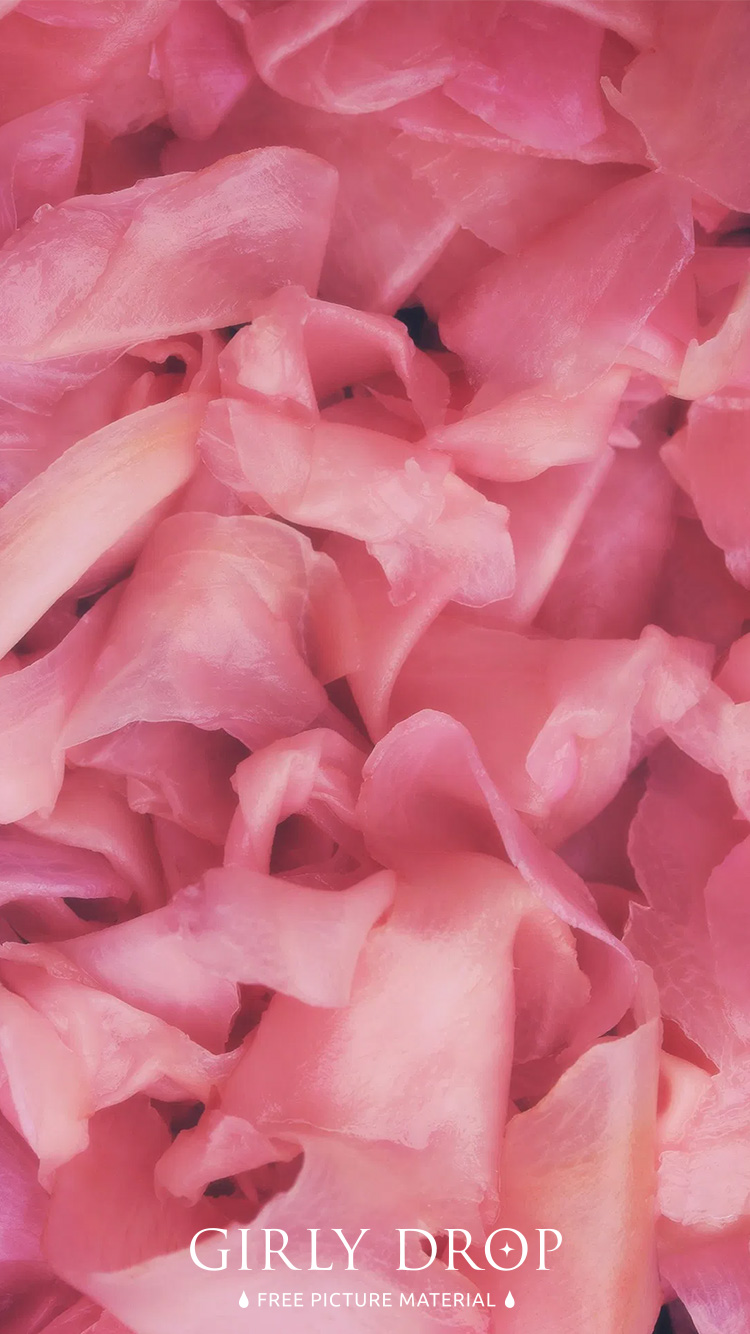 フリー写真画像『【おしゃれなiPhone壁紙】一面に敷き詰められた生ハムじゃなくて桜の花びらじゃなくてピンクのガリ』[ID:11704]