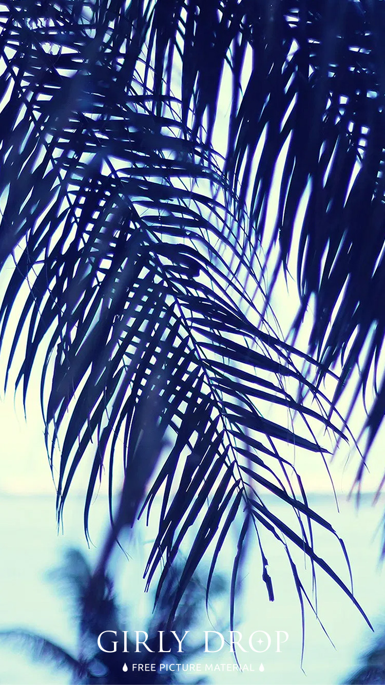 フリー写真画像『【おしゃれなiPhone壁紙】ヤシの木ごしに眺める夏の海』[ID:11533]