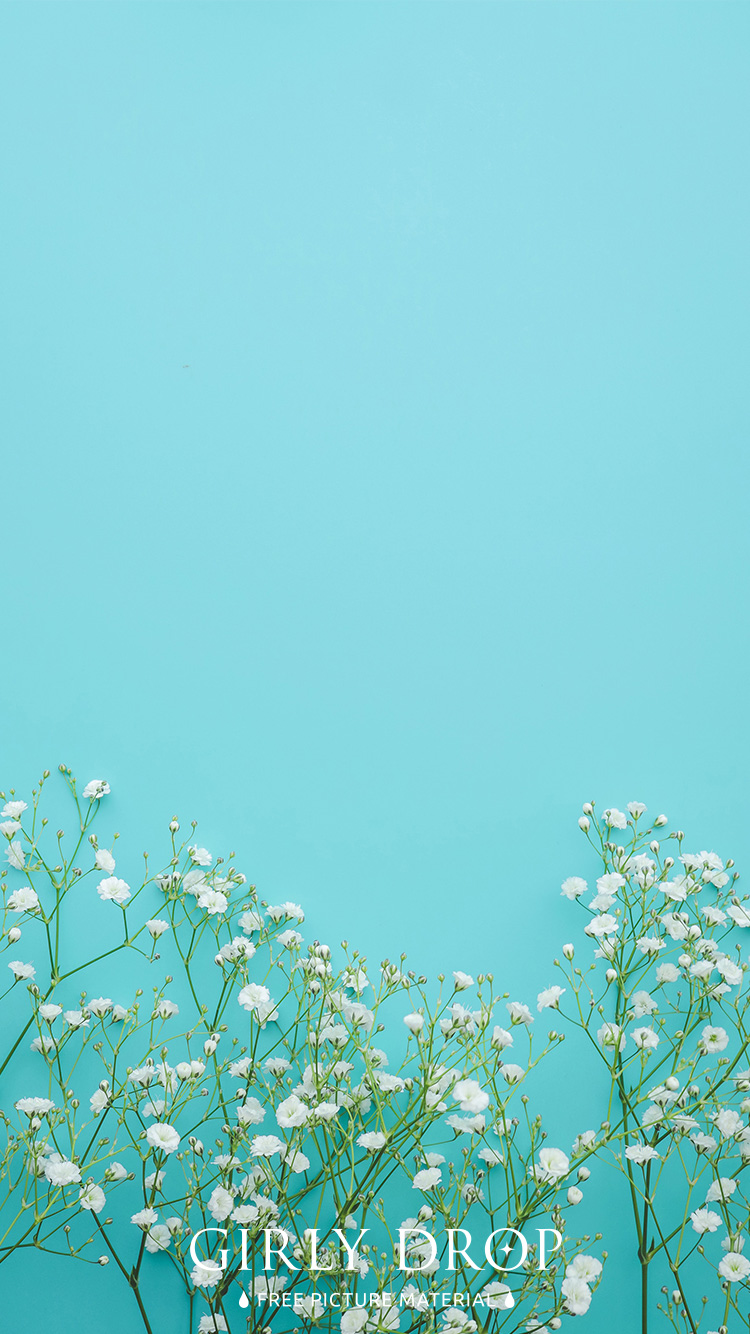 フリー写真画像『【おしゃれなiPhone壁紙】下から咲くかすみ草（縦）』[ID:11626]