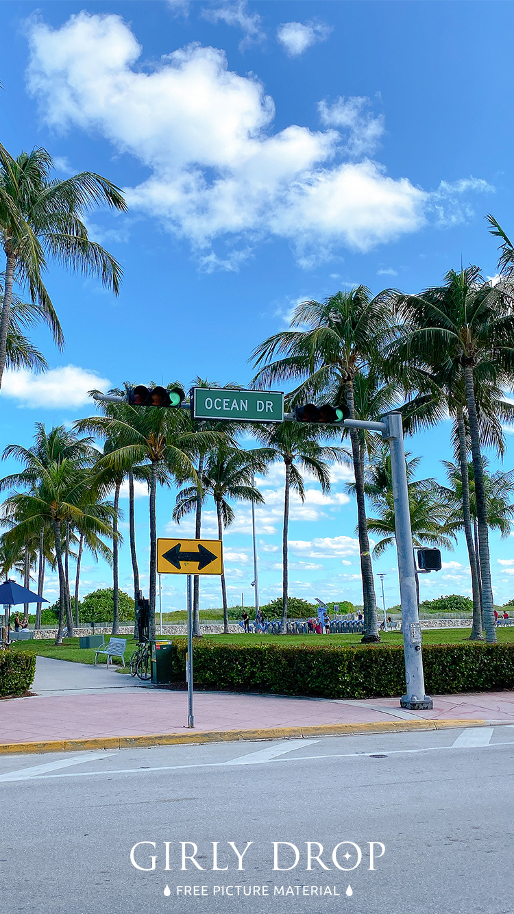 フリー写真画像『【おしゃれなiPhone壁紙】マイアミのサウスビーチで有名なオーシャンドライブの道路標識』[ID:11609]