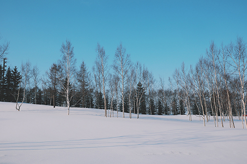 冬のよく晴れたスキー場のフリー画像 おしゃれなフリー写真素材 Girly Drop