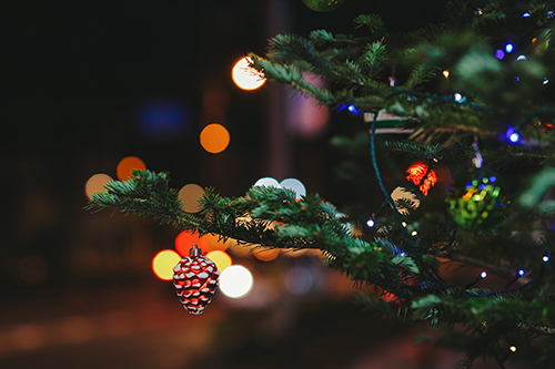 フリー写真画像『夜に煌めくクリスマスツリー』[ID:11950]