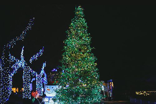 フリー写真画像『クリスマスツリーとスノーマン（横）』[ID:11948]