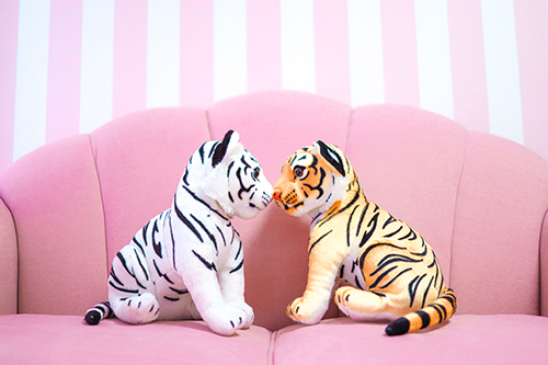 フリー写真画像『ピンクのソファで向かい合う白と黄色の虎のぬいぐるみ（寄り）』[ID:12752]