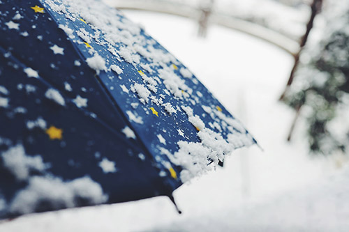 フリー写真画像『一面の雪景色と持っていた傘に付着した雪』[ID:12873]