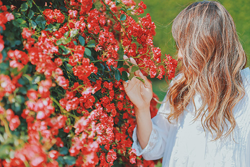 フリー写真画像『赤い花の香りを確認する女の子』[ID:12997]