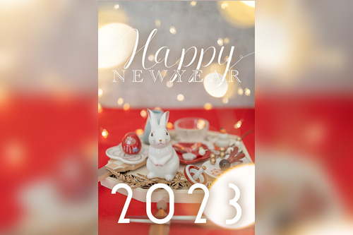 フリー写真画像『正月あけおめ画像スタンプ『HAPPY NEW YEAR』その116』[ID:14022]