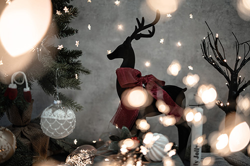 フリー写真画像『クリスマスのイルミネーションの中で赤いリボンがオシャレなトナカイ』[ID:13795]