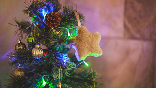 『冬』のフリー写真画像[ID:18568]