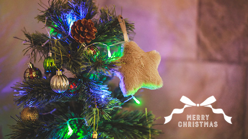 『冬』のフリー写真画像[ID:18564]