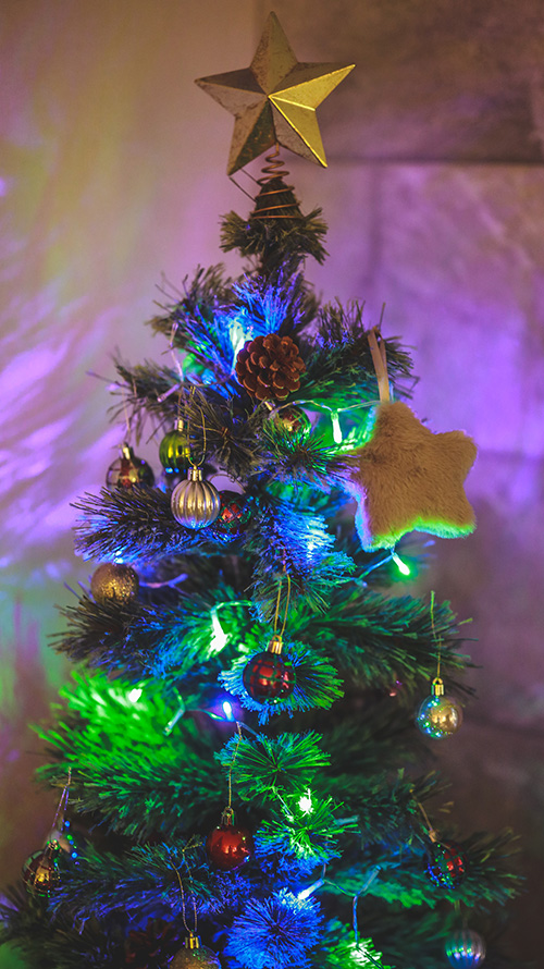 『冬』のフリー写真画像[ID:18570]