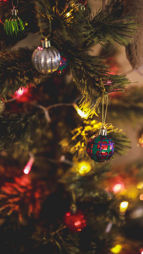 『冬』のフリー写真画像[ID:18554]