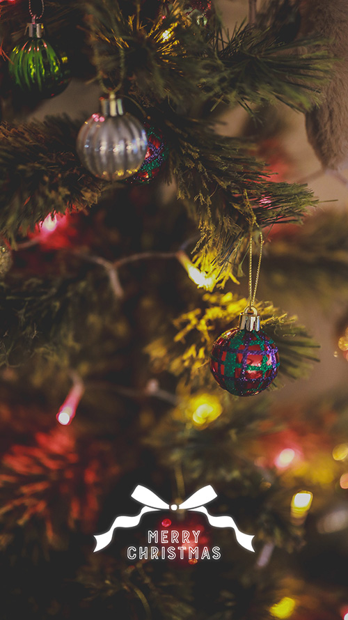 『文字入り』のフリー写真画像[ID:18550]