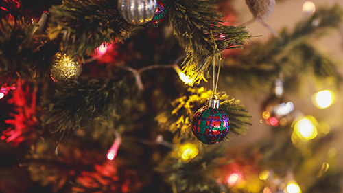 『冬』のフリー写真画像[ID:18552]