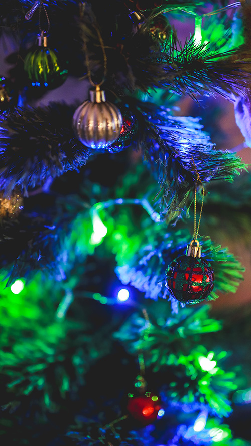 『冬』のフリー写真画像[ID:18562]