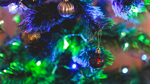 『冬』のフリー写真画像[ID:18560]