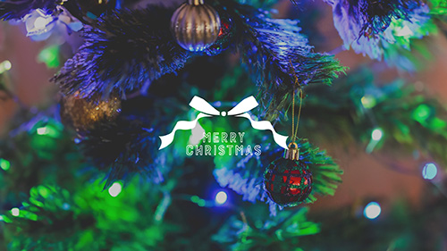 『冬』のフリー写真画像[ID:18556]