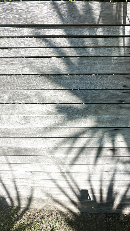 『夏』のフリー写真画像[ID:18418]