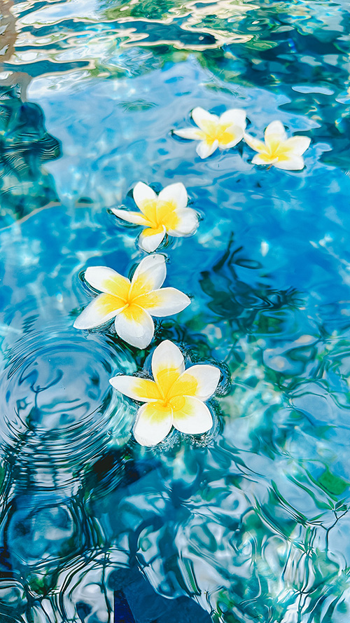 『誕生日』のフリー写真画像[ID:18908]