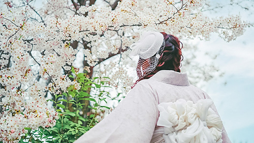 『日本』のフリー写真画像[ID:19012]