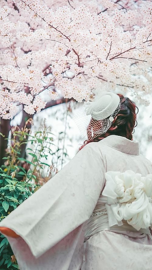 『日本』のフリー写真画像[ID:19052]