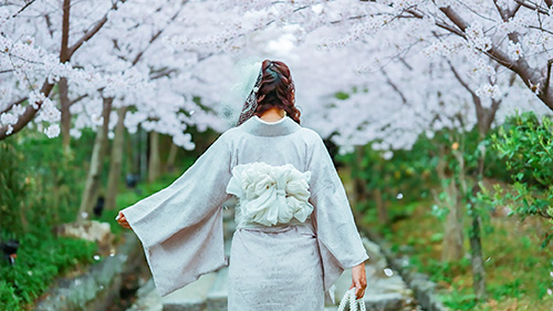 『日本』のフリー写真画像[ID:19054]