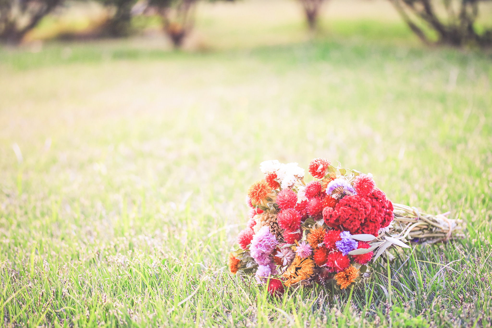 草むらにおいてあるドライフラワーの花束のフリー画像 おしゃれなフリー写真素材 Girly Drop