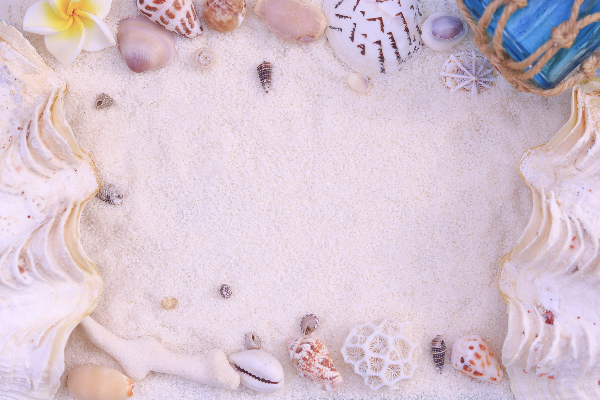 砂浜の上に作った貝殻のフレームのフリー画像 おしゃれなフリー写真素材 Girly Drop