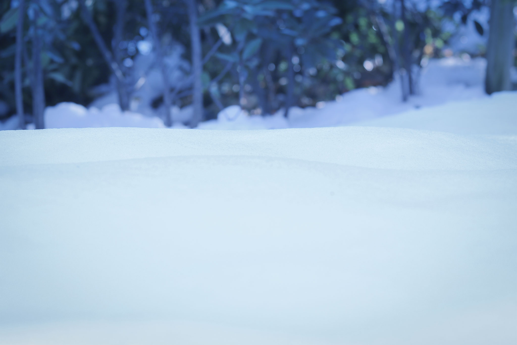 まだ誰も足を踏み入れていない美しい冬のゲレンデのフリー画像 おしゃれなフリー写真素材 Girly Drop