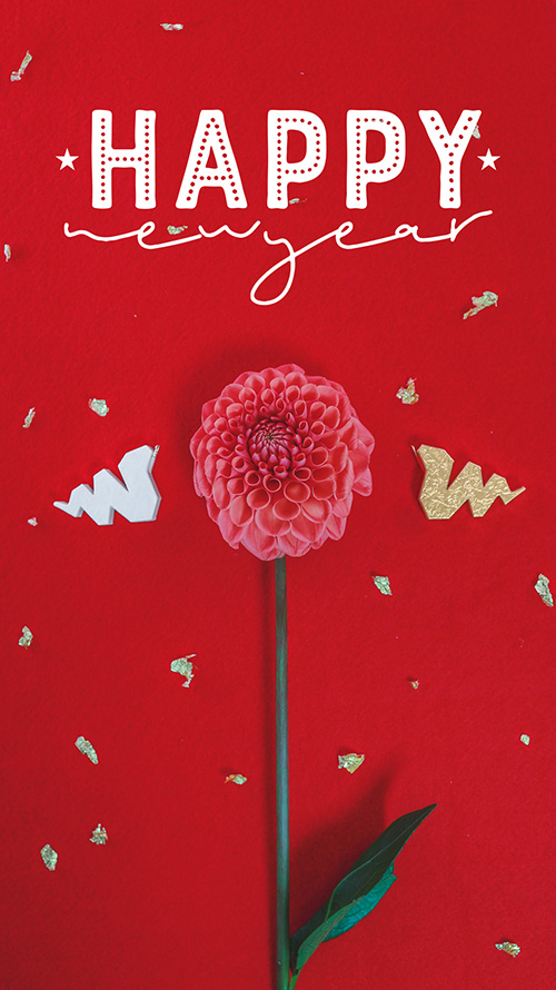 『縦長画像』のフリー写真画像[ID:17363]