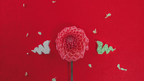 『大人おしゃれ』のフリー写真画像[ID:17369]